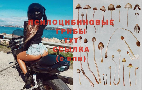 молекула духа Вязники