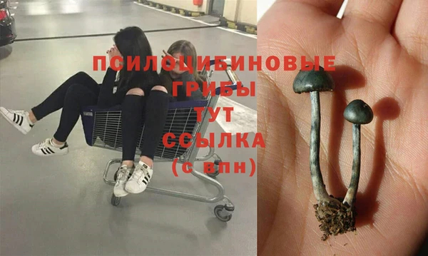 MESCALINE Вяземский