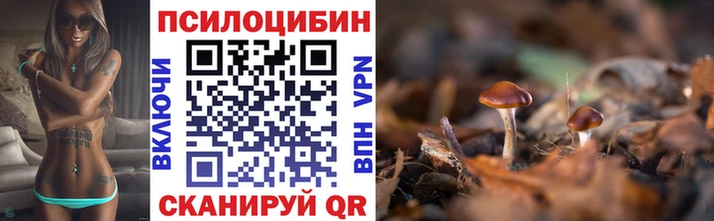 Псилоцибиновые грибы GOLDEN TEACHER  Купить закладки  Слюдянка 