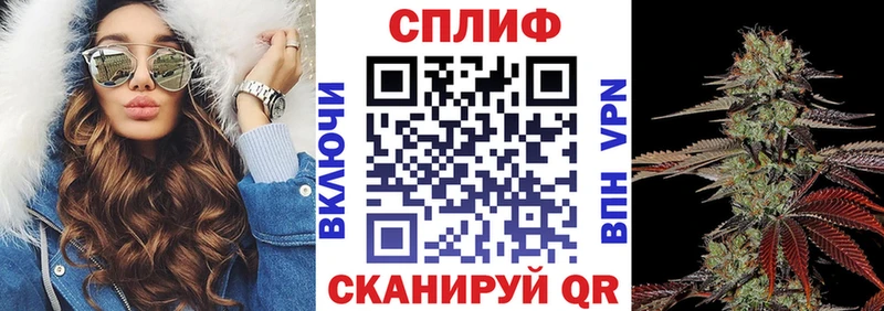 Купить закладки  Слюдянка  Бошки Шишки семена 
